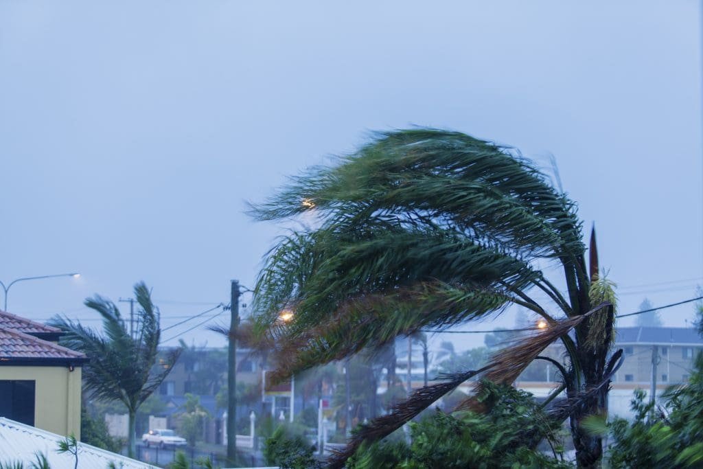 Hurricane tree damage SuperClean Restoration Service