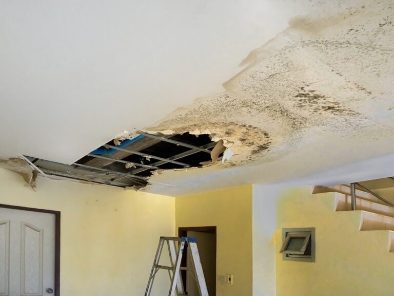 water cleanup services glen ridge