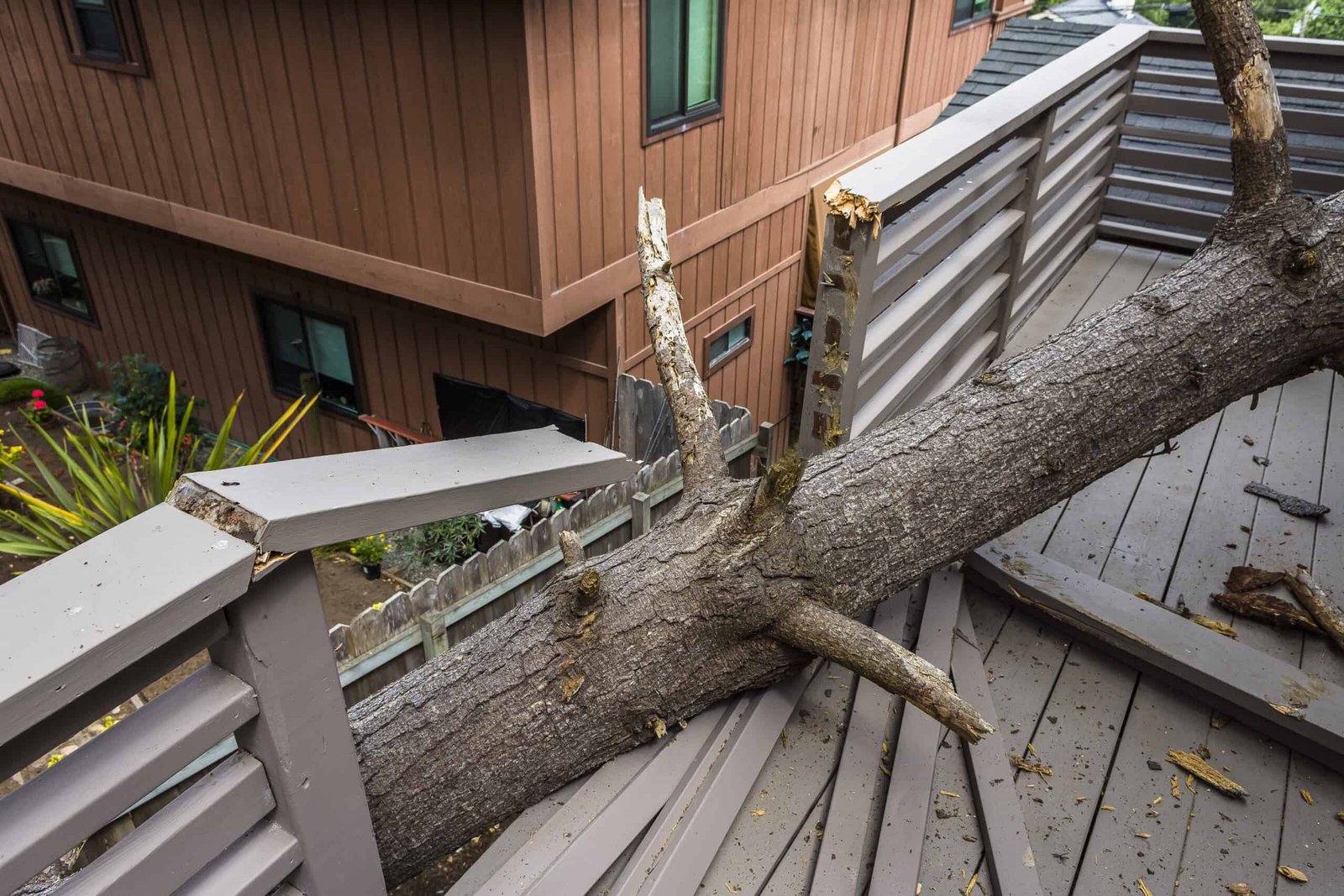 A large tree has fallen onto a gray wooden deck, breaking the railing. The deck is attached to a brown house, surrounded by plants and a fenced yard. This storm damage highlights the need for expert restoration in Palm Beach County to swiftly address such unexpected impacts.