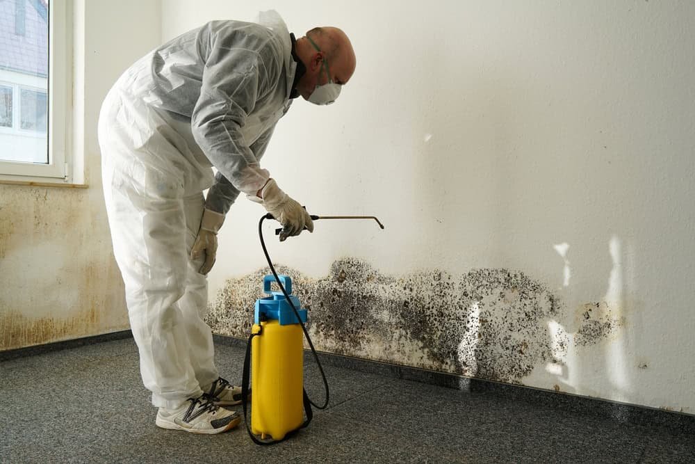A person in protective clothing and a mask sprays a chemical onto a wall covered with black mold spots, using a yellow and blue sprayer in a room with stained walls and a window.