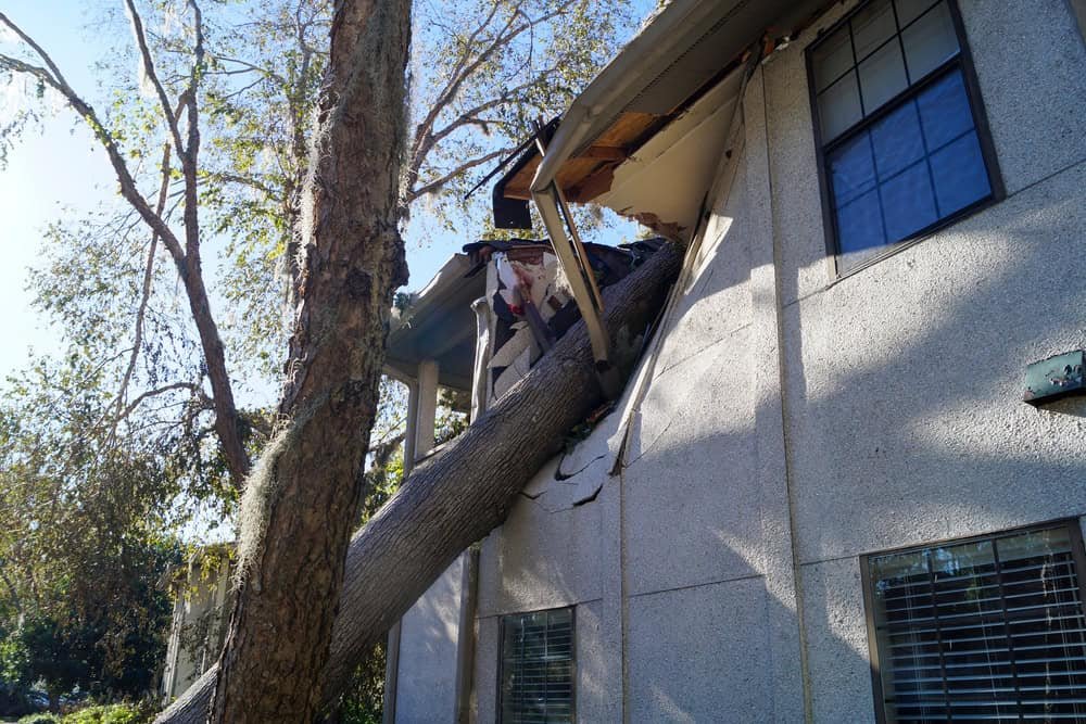 A large tree has fallen onto the roof of a two-story house, causing significant damage. The tree leans against the house, with branches and debris scattered. Windows are intact, and sunlight filters through the foliage.