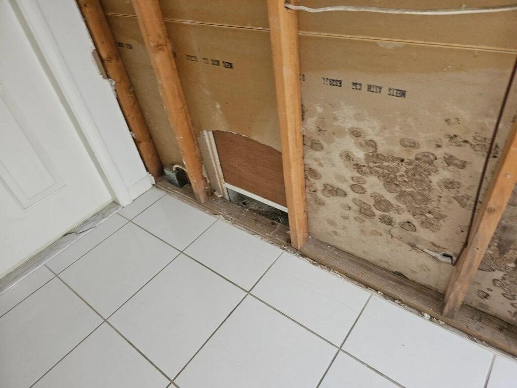A section of a wall with exposed wooden studs and moldy drywall. The lower portion is removed, revealing insulation. The floor is covered with white tiles. A white door is partially visible on the left.